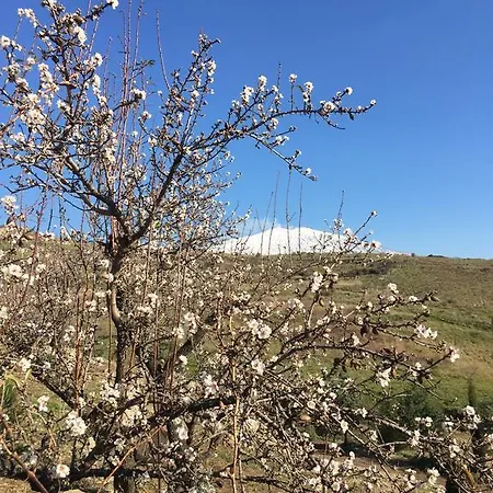 Bed & Breakfast Turismo Rurale Oro Verde