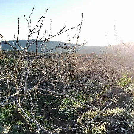 Bed & Breakfast Turismo Rurale Oro Verde *